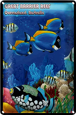 Produktbild von Blechschild Spruch 20x30cm great barrier reef Queensland