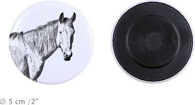 Produktbild von Namib-Wüstenpferd - Magnet mit Pferd, ein einzigartiges Abdruck des Pferdes der Marke Art-Dog