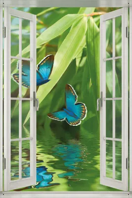 Produktbild von Wallario Outdoor-Poster für Garten oder Balkon 61 x 91,50 cm: Schmetterlinge in Reflektion