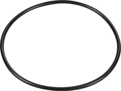 Produktbild von Original O-Ring für den Öldampfabschneider 504325903