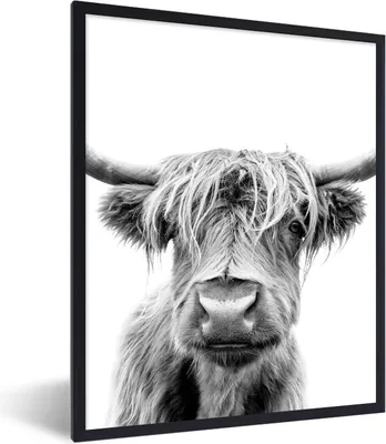 Produktbild von MuchoWow® Gerahmtes Poster Kuh - Schottischer Highlander - Schwarz - Weiß 60x80 cm - Poster mit Schwarzem Bilderrahmen Wandposter Rahmen Foto Bilder - Premium - Wanddeko Wohnzimmer