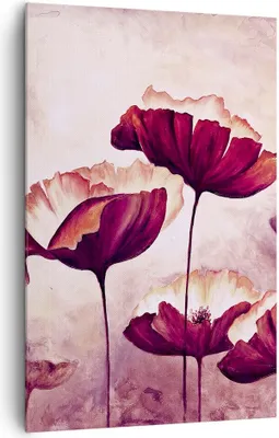 Produktbild von Bild auf Leinwand - Leinwandbild - Einteilig - Mohn Blume Wiese - 80x120cm - Wand Bild - Wanddeko - Wandbilder - Leinwanddruck - Wanddekoration - Leinwand bilder - Wandbild - PA80x120-3934