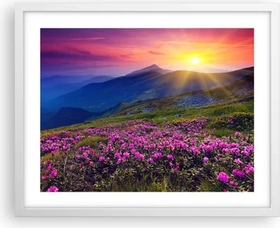 Produktbild von Gerahmtes Poster - Weißer Rahmen - Wiese Berge Landschaft - 50x40 cm - Wand Bild - Wanddeko - Wandbilder - Kunstposter - Wandposter - Bilderrahmen - Bilder - Kunstdruck - Wandbild - P2WAA50x40-2676
