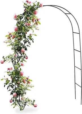 Immagine prodotto di Decorazione da giardino per piante rampicanti, 240 cm, metallo, autoportante, resistente alle intemperie