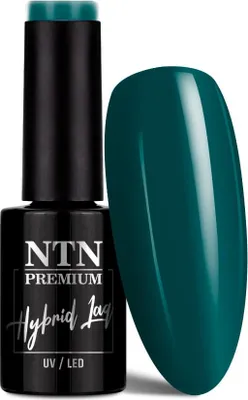 Image de NTN Premium Springtime Selfie Vernis à ongles hybride 5 g N° 286