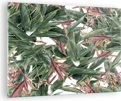 Produktbild von Bilder auf glas - Pflanze Blatt Blume - 70x50cm - Glasbilder - Wandbilder - Kunstdruck - zum Aufhängen bereit - Wanddekoration aus Glas - Glas Bilder - Wandbild auf Glas - Einteilig - GAA70x50-3844