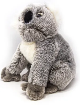Produktbild von Nature Planet - Kuscheltier - Plan L - Koala 22 cm