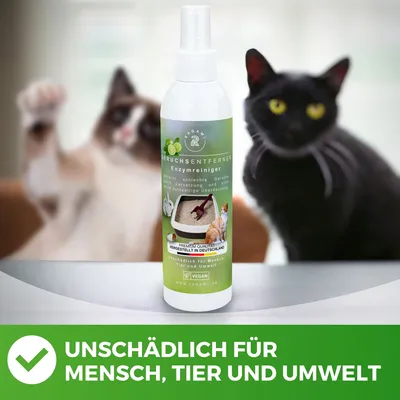 Produktbild von Radami Enzymreiniger 250ml Limette – Geruchsentferner gegen Katzenurin & Tiergerüche für Katzen, Hunde, Haus- & Nutztiere – Unbedenklich für Mensch, Tier & Umwelt – Mit Mikroorganismen