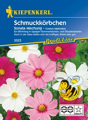 Produktbild von Kiepenkerl Schmuckkörbchen Sonata Cosmos bipinnatus, Inhalt: ca. 40 Pflanzen