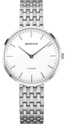 Produktbild von Bering Mod. 19334-004