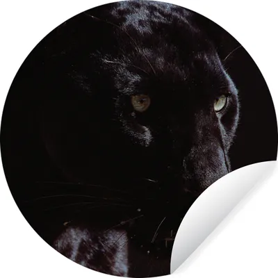 Produktbild von MuchoWow® Runde Wandtattoo - Wandsticker Tapete Aufkleber Panther - Tier - Schwarz Ø 50 cm Selbstklebend und Repositionierbar - Wandaufkleber - Kreis - Wand Kreis - Wand Bild - Foto Tapete - Selbstklebende - Wohnzimmerdekoration - Wand Dekoration - Kinderzimmer