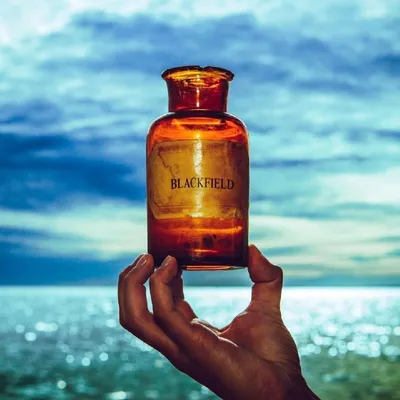 Zdjęcie produktu dla Blackfield - Blackfield V (LP)
