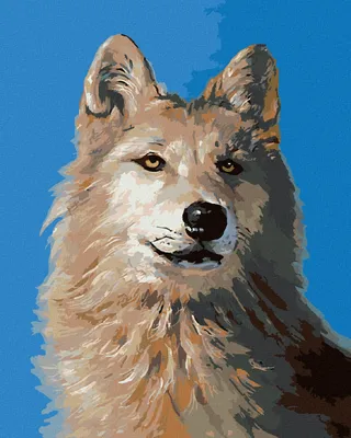 Produktbild von Zuty - Malen nach Zahlen - WOLF PORTRÄT I (D. RUSTY RUST), 40x50 cm, ohne Keilrahmen