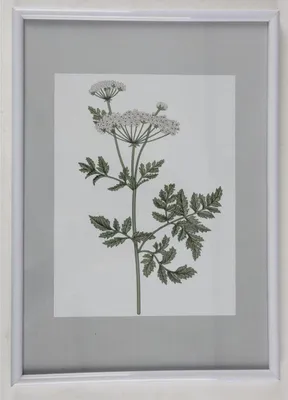 Produktbild von Kunststoffrahmen 21x29,7cm wohnen Haushalt Dekoration Bilderrahmen Rahmen Bilder