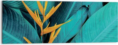 Produktbild von Bild auf Leinwand - Leinwandbild - 3 Teile - Blumen Tropen Blätter - 150x50cm - Wand Bild - Wanddeko - Wandbilder - Leinwanddruck - Bilder - Wanddekoration - Leinwand bilder - Wandbild - CA150x50-5116