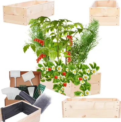 Produktbild von MODO24 Hochbeet Holz, Pflanzkasten, Massivholz, Kiefer, Kräuterbeet, Blumenkasten, Garten, Terrasse, 18x63x30 cm, Natur, ZP06