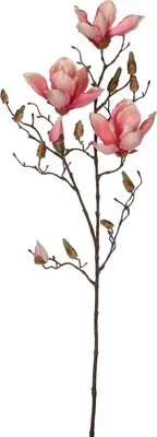 Produktbild von Mica Decorations Magnolien Kunstblume - H88 cm - Rosa