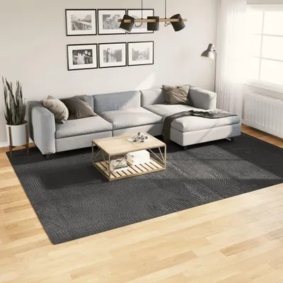Obrázek produktu pro Koberec IZA s krátkým vlasem Scandi styl antracit 240x340 cm