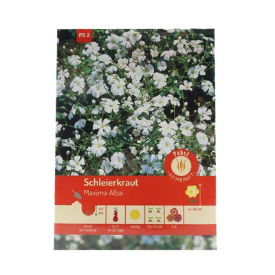 Zdjęcie produktu dla Pabst Keimkraft - Nasiona Gypsophila Maxima Alba - 173545