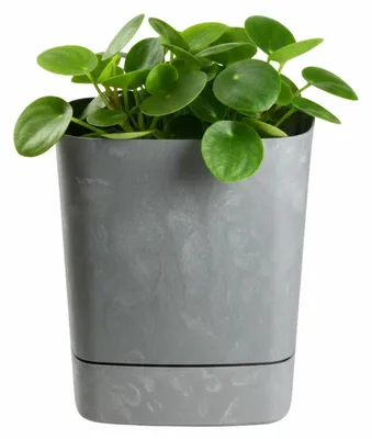 Produktbild von HowHomely | Blumentopf - Übertopf - Pflanztopf mit Untersetzer - grau - 16xH18 cm - aus Kunststoff - Betonoptik