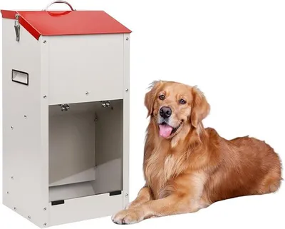 Productafbeelding van Geïncementeerd voerautomaat voor grote hondenrassen, met een capaciteit van 11 kg. Automatische voerdispenser voor honden en katten, geschikt voor binnen- en buitengebruik