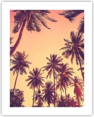 Produktbild von Poster - Poster ohne Rahmen - Palmen Himmel Sonne - 40x50 cm - Wand Bild - Wanddeko - Wandbilder - Kunstposter - Wandposter - Bilder - Kunstdruck - Wanddekoration - Wandbild - P2XPA40x50-4220