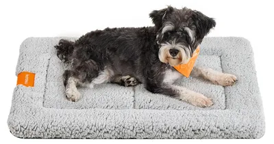 Immagine prodotto di Coperta per cani Feandrea, adatta anche per gatti, dimensioni M (75 x 50 cm), antiscivolo