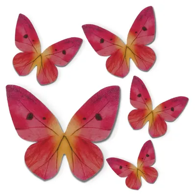 Produktbild von Dekora - 79 Essbare Schmetterlinge für Torten oder Cupcakes - Tortendeko Essbar für Geburtstage und Andere Anlässe - Esspapier Schmetterlinge in Rosa - Größe 3-6 cm