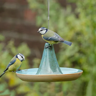 Produktbild von CJ Wildlife Vogeltränke Keramik - Vierno Tajine, Blau/Grün - mit stabiler Drahtaufhängung - für Vögel - geschenkverpackt - nicht frostfest