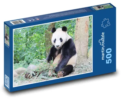 Obrázek produktu pro martinpuzzle - Puzzle 500 - Medvídek Panda