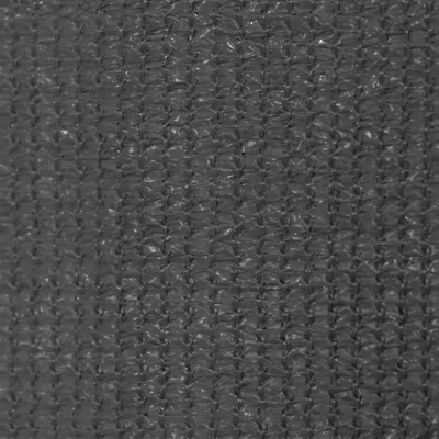Immagine prodotto di vidaXL Tenda a rullo per esterni 400 x 230 cm antracite