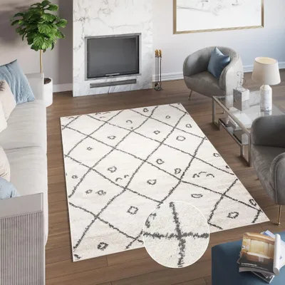 Produktbild von Teppich Wohnzimmer Schlafzimmer Modern Design Shaggy Hochflor Langflor Grau Creme 60 x 100 cm