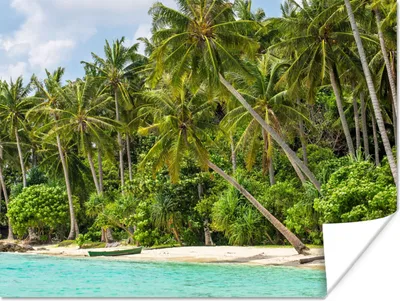 Produktbild von MuchoWow® Poster Palme - Meer - Tropisch 160x120 cm - Foto Plakat