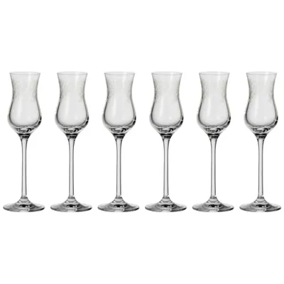 Immagine prodotto di Set da 6 bicchieri da grappa Leonardo Chateau, bicchieri da liquore, bicchieri da aperitivo, bicchieri eleganti con incisione, 80 ml, 35298