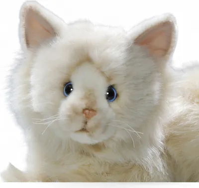Produktbild von Carl Dick Katze, Birmakatze ca. 30cm 3500 Kuscheltier, Plüschtier, Stofftier