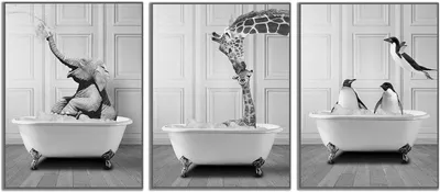 Productafbeelding van Posterset Dieren voor Wanddecoratie