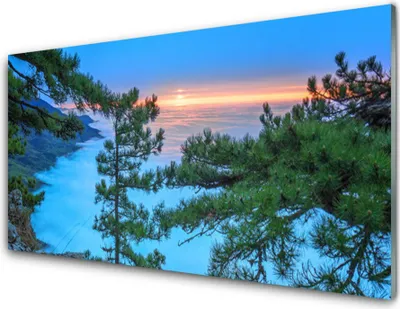 Produktbild von Acrylglasbilder 100x50 Wandbild Druck Bäume Natur
