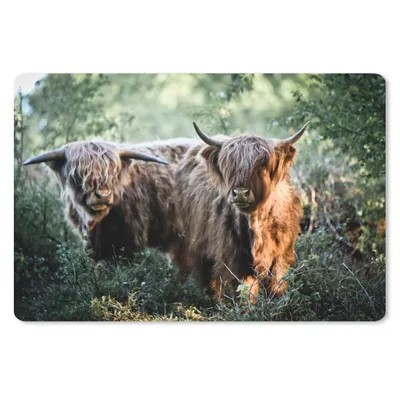 Produktbild von MuchoWow® Schreibtischunterlage Schottische Highlander - Wald - Tiere 60x40 cm - XXL Mauspad - Großes Mauspad