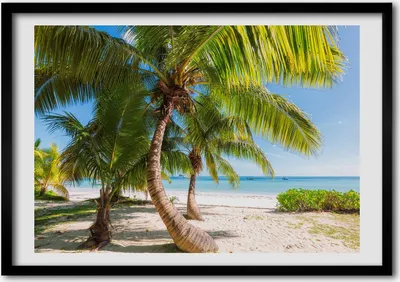 Produktbild von Bild - Bilder - Bilderrahmen - 70 cm x 50 cm - MDF-Rahmen, Wandkunst Tropischer Strand