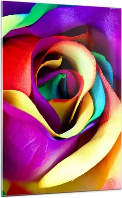 Produktbild von Bilder auf glas - Einteilig - Blume Farbe Rose - 70x100cm - Glasbilder - Wandbilder - Bilder - zum Aufhängen bereit - Wanddekoration aus Glas - Glas Bilder - Wandbild auf Glas - GPA70x100-3623