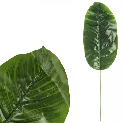 Productafbeelding van Kunstbananenbladeren, bladeren voor boeketten, 48 cm