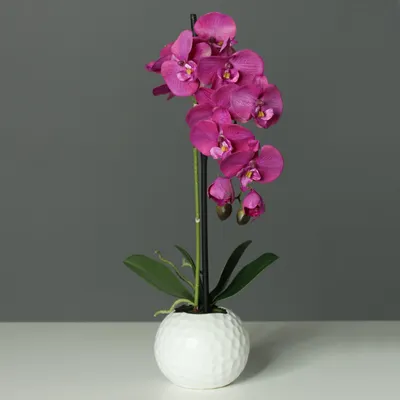 Produktbild von künstliche Orchidee, Phalaenopsis lila fuchsia in weißem Kugel Topf H. 46cm DPI