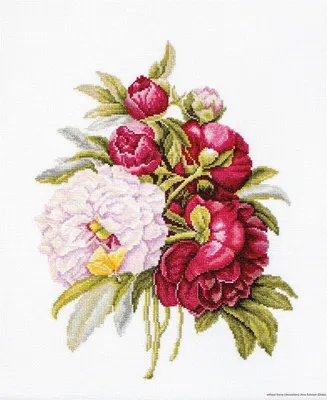 Zdjęcie produktu dla Zestaw do haftu krzyżykowego Luca-S "Bukiet piwonii", wzór liczony, 20x26,5cm
