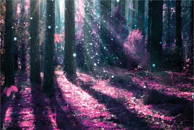 Produktbild von Wallario Premium Vliestapete Fototapete Fantasie im Wald - Pinke Blumen in der Sonne in der Größe 400 x 267 cm, extra dick, wird in 5 Teilen geliefert