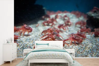 Produktbild von MuchoWow® Fototapete für Wohnzimmer oder Schlafzimmer Wandtapete Vinyl Motivtapete Rote Thunfischhummer unter Wasser - 390x260 cm - Papiertapete