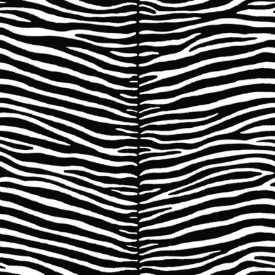 Produktbild von ESTAhome Tapete Zebras Schwarz und Weiß 53 cm x 10.05 m
