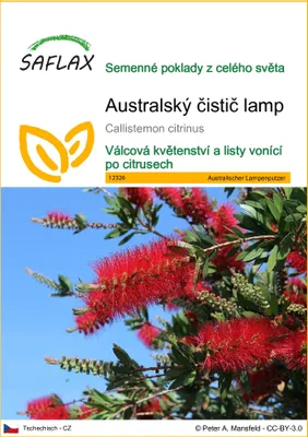 Obrázek produktu pro SAFLAX - Australský čistič lamp - Callistemon citrinus - 400 Semena