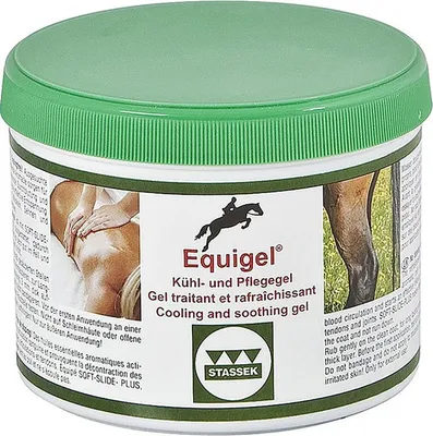 Produktbild von Stassek Equigel® 500ml Shampoo Golden Golden One Size