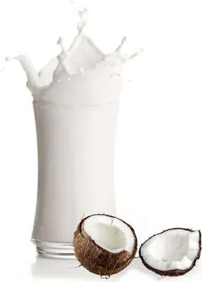 Produktbild von Kokosmilch Nuss Milchshake Pulver 333 g
