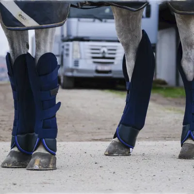 Obrázek produktu pro Equithème Classic Mesh Transport Boots, velikost:Pony, barva:navy blue